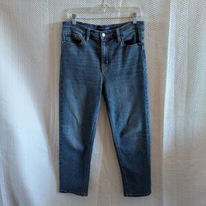 Scotch & Soda Amsterdam Women's Blue Jeans Straight Stretch High Rise Size 10